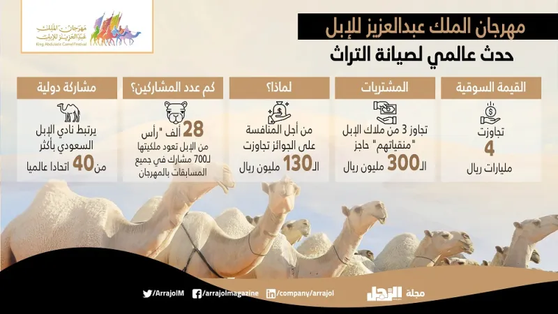 لأول مرة مصارعة الإبل رياضة سعودية جديدة بلا دماء  «إنفوجراف»