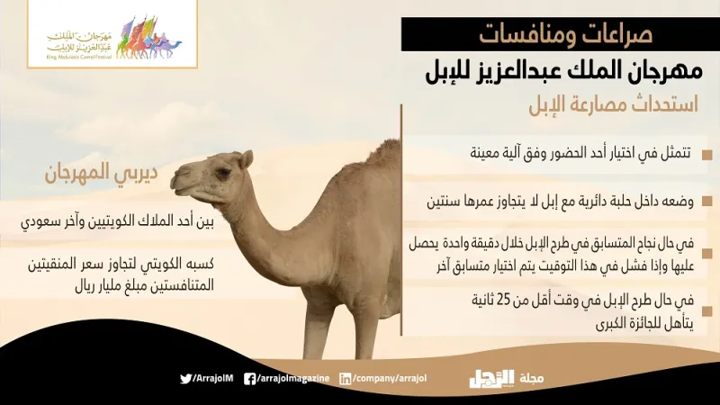 لأول مرة مصارعة الإبل رياضة سعودية جديدة بلا دماء  «إنفوجراف»