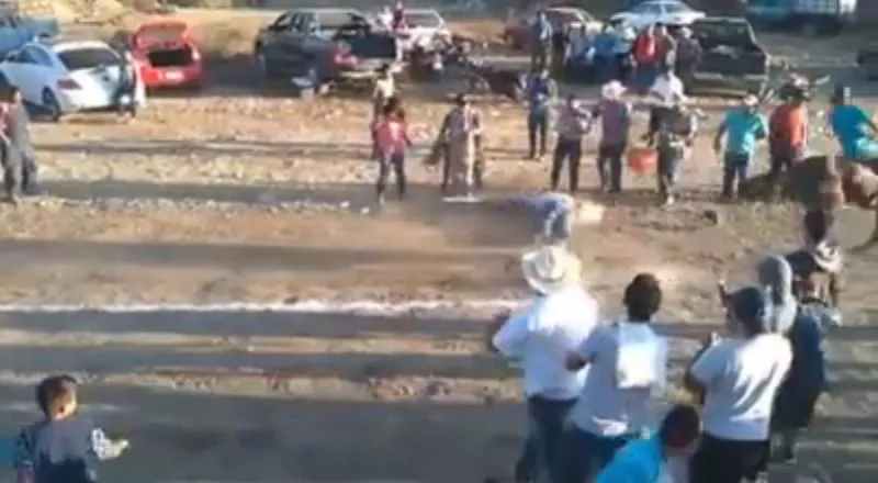 حصان يُدخل مشجعًا في سباق للعناية المركزة.. ماذا حدث ؟ «فيديو»