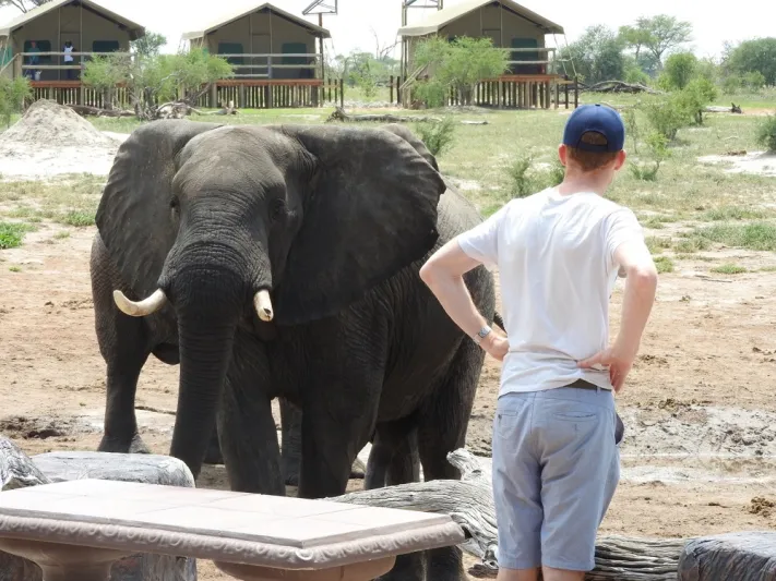 «سيلفي» مع الفيل كاد يكلف رجلا حياته في الهند «فيديو»