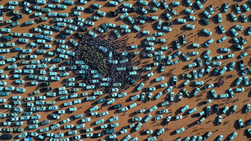 فيديو وصور| تخلله أحداث غير مسبوقة.. كل ما تود معرفته عن مهرجان الملك عبد العزيز للإبل