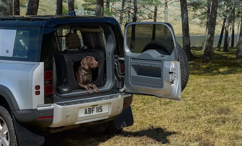 أغرب اختبار تجريه «جاجوار» على سياراتها.. سيهم أصحاب الكلاب «فيديو»