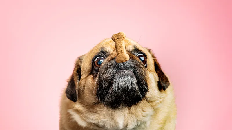 الجانب المُظلم من ضبط النفس.. يقودك للفشل أحيانا