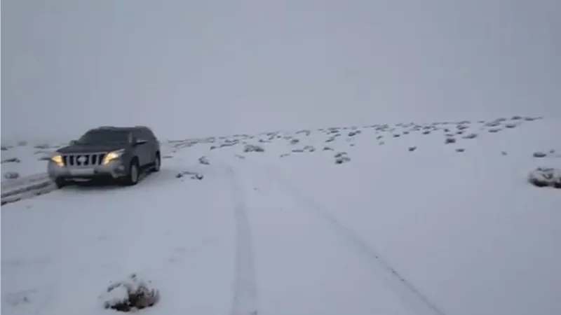 منها السعودية.. دول شهدت ظواهر طبيعية غير مسبوقة في 2020