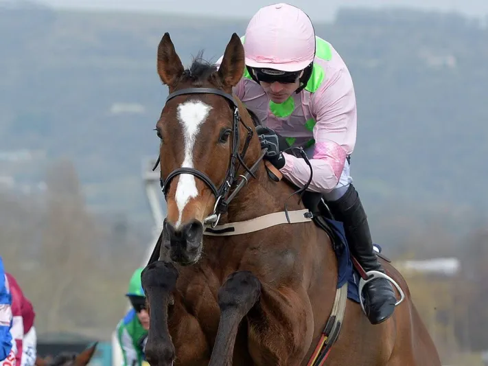 سباق خيل ينتهي بحادثة مأساوية.. تفاصيل «فيديو»