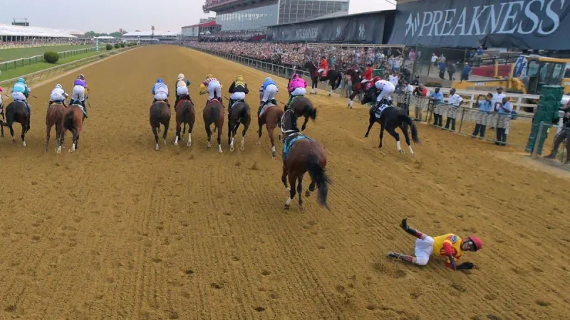 سباق خيل ينتهي بحادثة مأساوية.. تفاصيل «فيديو»