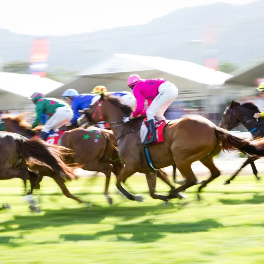 سباق خيل ينتهي بحادثة مأساوية.. تفاصيل «فيديو»