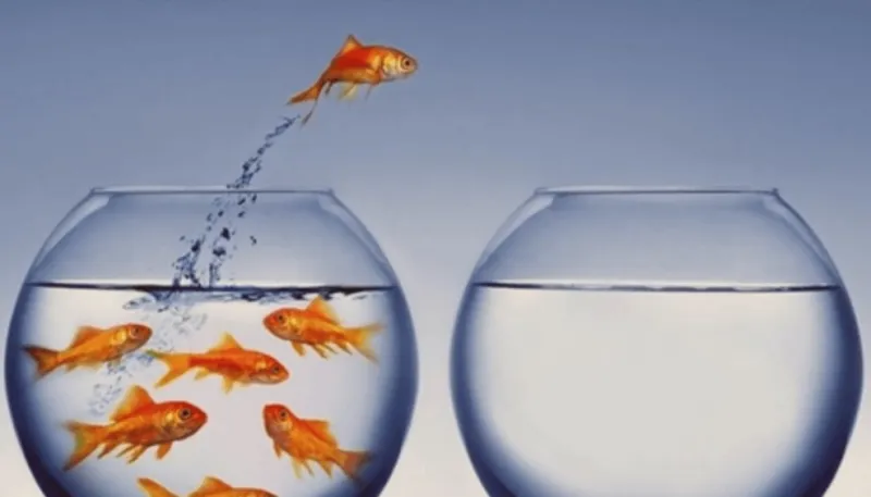 كيف تطور التفكير الإبداعي؟ إليك مراحله وأهم المعوقات