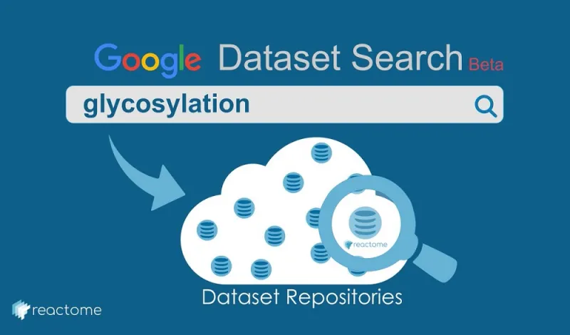 ماذا تعرف عن محرك بحث بيانات جوجل الجديد Dataset Search؟ «فيديو»