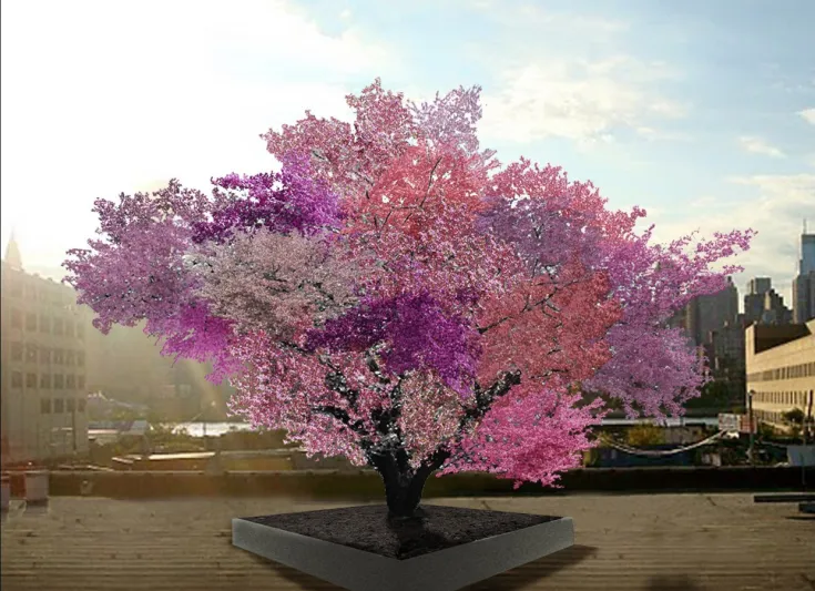 تُثمر 40 نوع فاكهة في نفس الوقت.. تعرف على أغرب شجرة في العالم «فيديو»