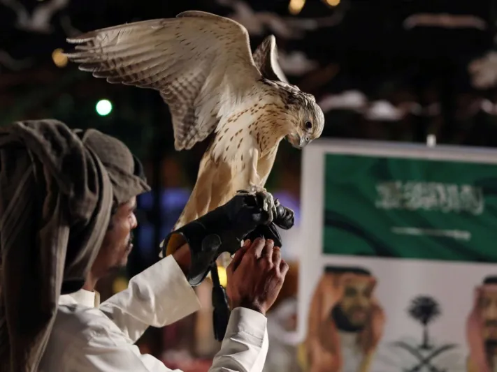 ألف صقر يحلق في سماء طريف.. انطلاق مهرجان الصقور بنسخته السادسة