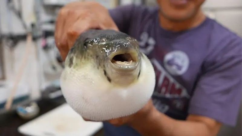 ما هي الوجبة التي يُحرَم على إمبراطور اليابان تناولها؟