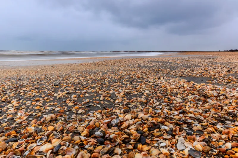 دليلك السياحي الكامل في أذربيجان.. كيف تستمتع في أرض النار؟
