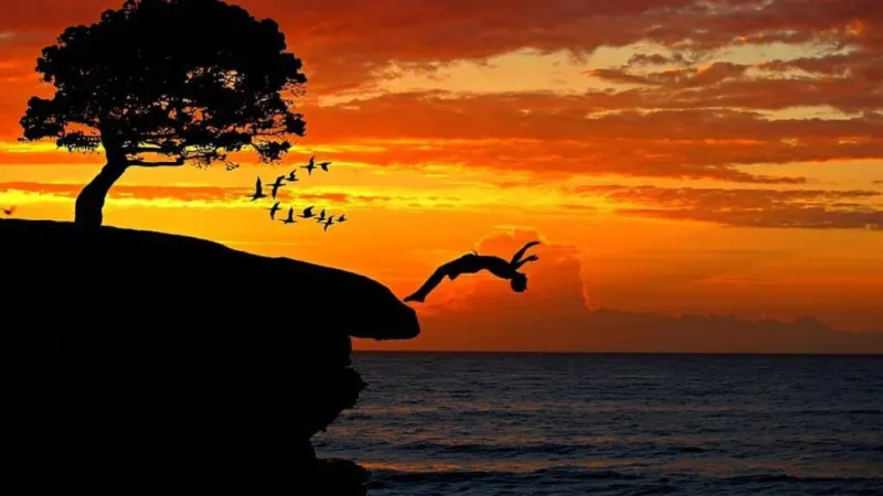 «كتاب اليوم».. كيف تتغلب على خوفك وتقوم بكل ما تحلم به؟