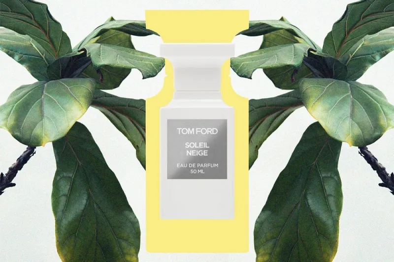 باقة من العطور المتفجرة تظلّل ربيعك بنغمات آسرة 