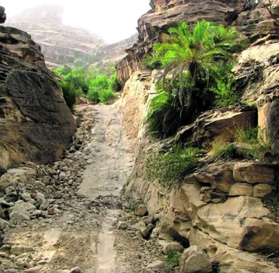 مشهد مهيب لتساقط شلال من أعالي جبال القهر بجازان «فيديو»