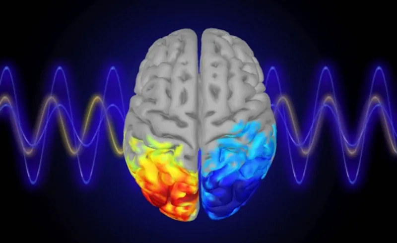 «مايكروسوفت » تستخدم أعضاء جسم الإنسان لتعدين العملات الرقمية !