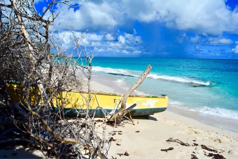 استمتع بأجواء ساحرة.. أجمل الشواطئ في بربادوس