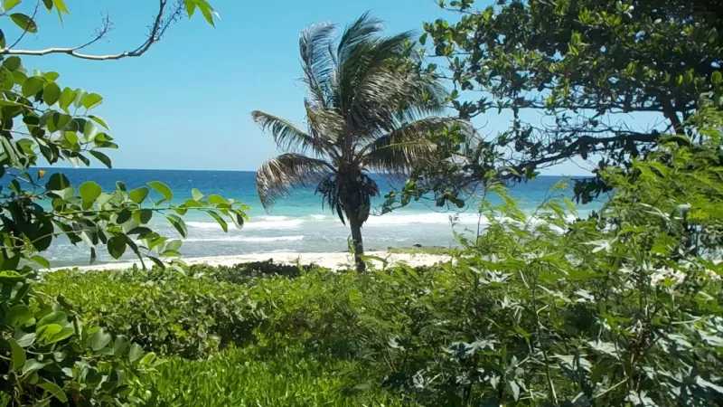 استمتع بأجواء ساحرة.. أجمل الشواطئ في بربادوس