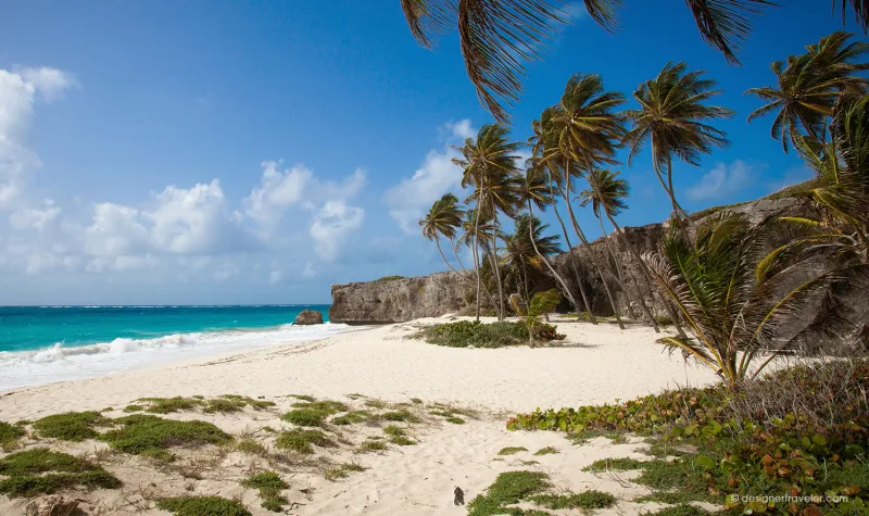 استمتع بأجواء ساحرة.. أجمل الشواطئ في بربادوس