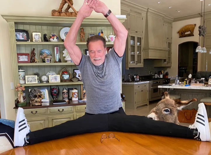 خدعة طريفة لـ«شوارزنيغر» تحصد الملايين من المشاهدات (فيديو)