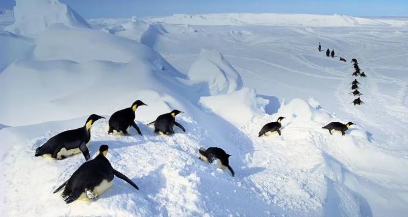 المكان الأكثر أماناً في العالم بعيدًا عن كورونا..أين هو؟