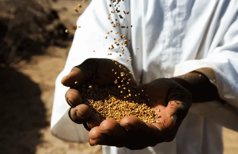 زكاة الفطر 2020 .. ما هو مقدارها ومتى تُدفع؟