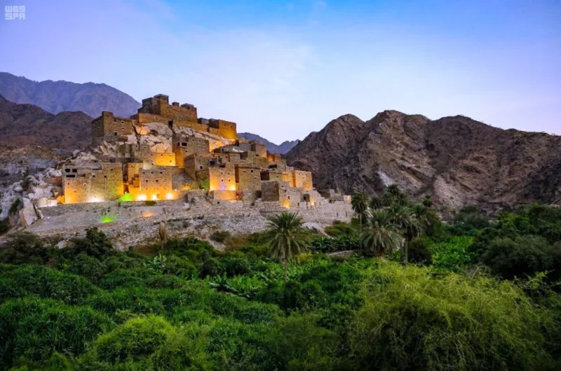 تراث شامخ وطبيعة خلابة.. لقطات ساحرة لقرية ذي عين (فيديو)