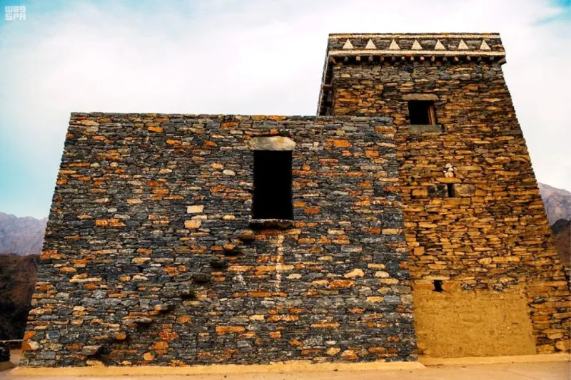 تراث شامخ وطبيعة خلابة.. لقطات ساحرة لقرية ذي عين (فيديو)