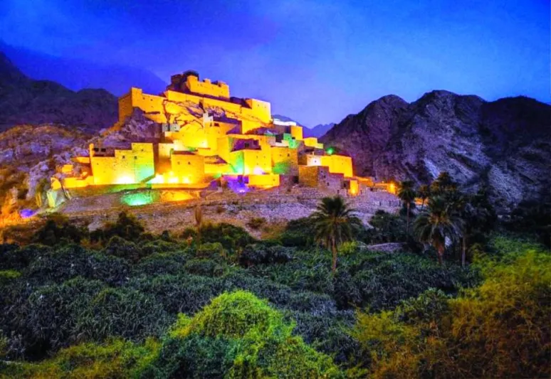 تراث شامخ وطبيعة خلابة.. لقطات ساحرة لقرية ذي عين (فيديو)