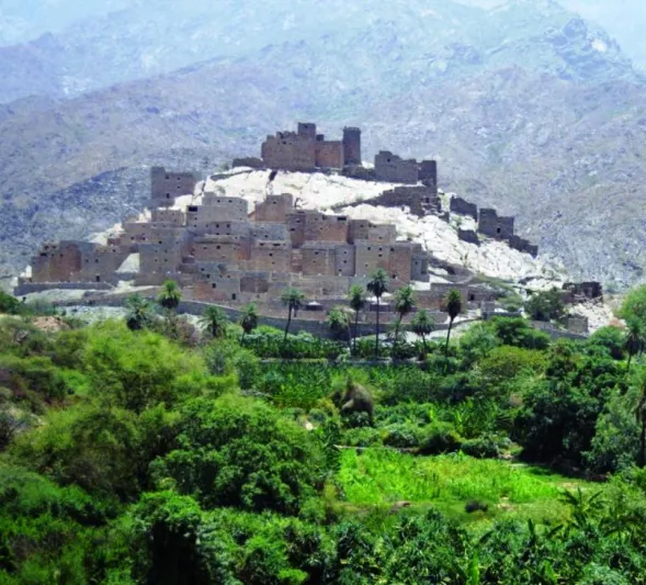 تراث شامخ وطبيعة خلابة.. لقطات ساحرة لقرية ذي عين (فيديو)