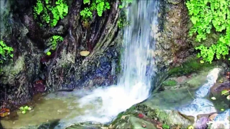 تراث شامخ وطبيعة خلابة.. لقطات ساحرة لقرية ذي عين (فيديو)