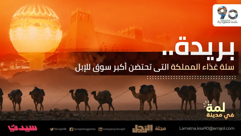 بريدة.. سلة غذاء المملكة التى تحتضن أكبر سوق للإبل