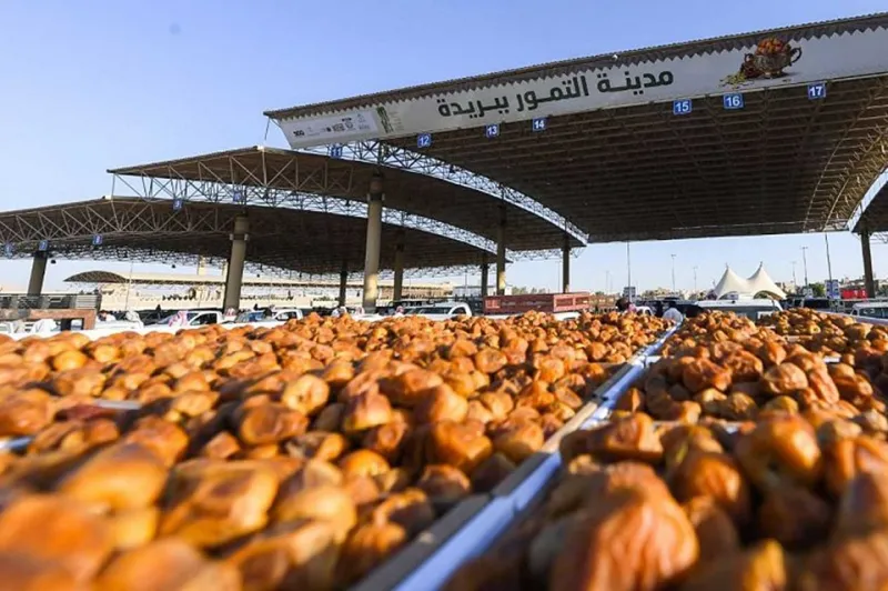 بريدة.. سلة غذاء المملكة التى تحتضن أكبر سوق للإبل