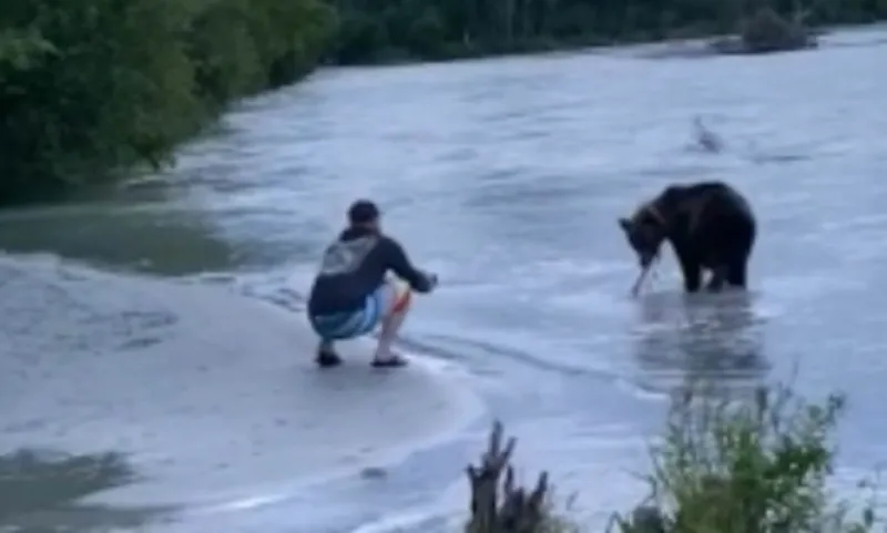 سمكة تشعل صراع بين دب جائع وصياد عنيد (فيديو)