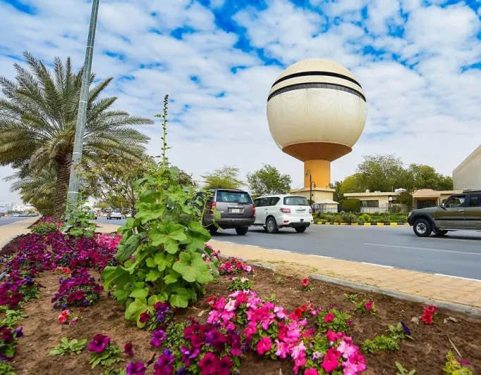 بريدة.. سلة غذاء المملكة التى تحتضن أكبر سوق للإبل