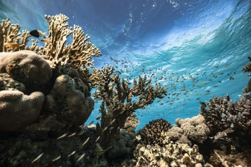 بعد وصول خادم الحرمين للاستجمام..لقطات خلابة من طبيعة «نيوم» الساحرة «صور»