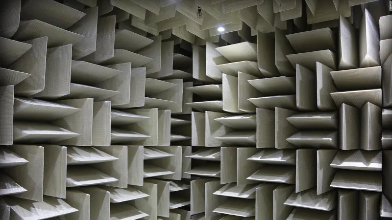 شاهد| «غرفة الأسرار » الأكثر هدوءاً على وجه الأرض 