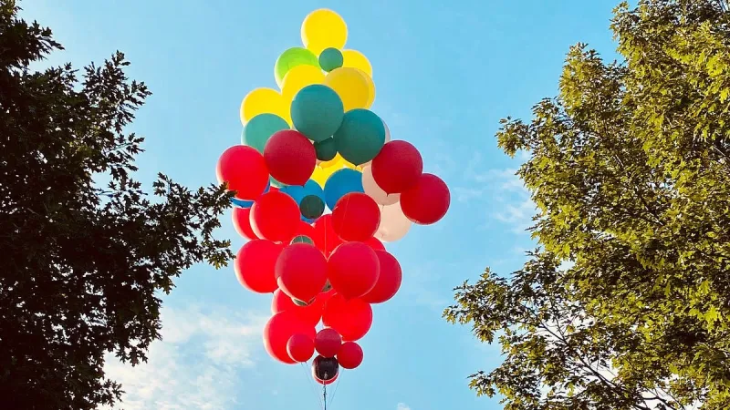 على طريقة فيلم up.. ساحر يطير 24 ألف قدم بـ 52 بالونًا ! (فيديو)