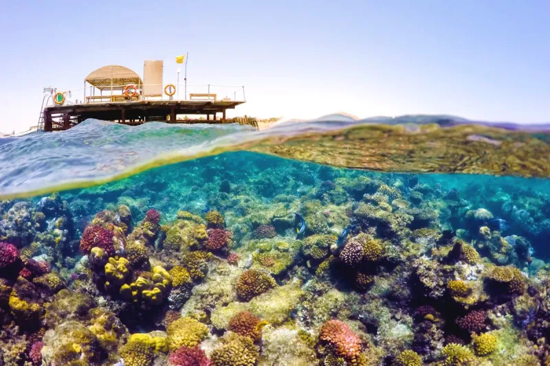 أفضل الدول للسياحة العلاجية.. ما بين بلاد العرب وأوروبا وآسيا 