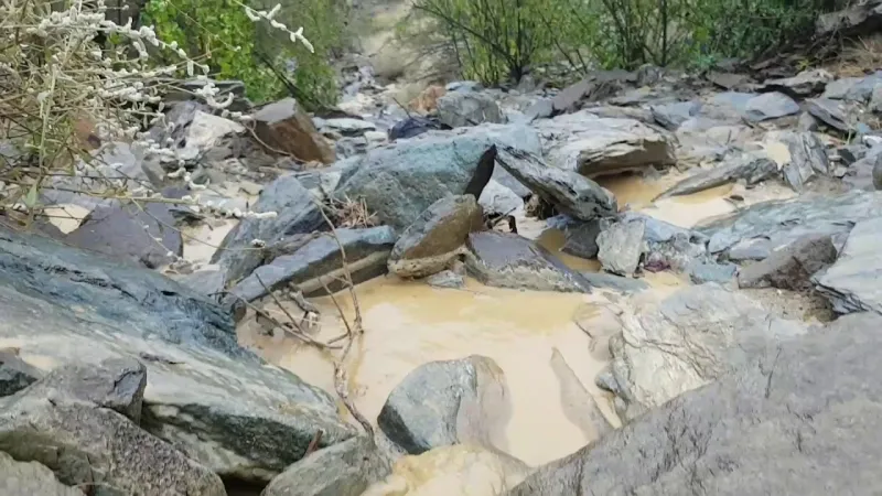 مشاهد آسرة تبرز جمال الطبيعة الخلاب لوادي الغمار (فيديو)