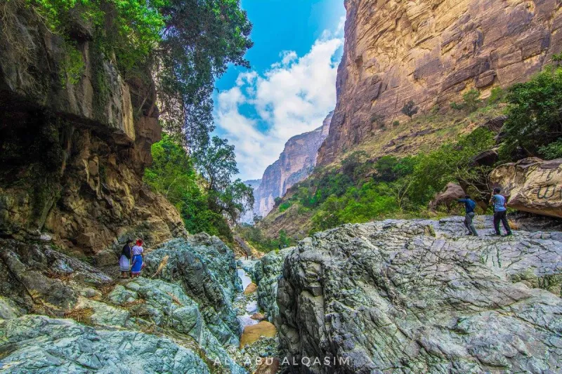 مشاهد آسرة تبرز جمال الطبيعة الخلاب لوادي الغمار (فيديو)
