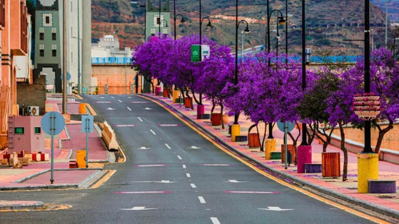 أماكن سياحية في أبها عليك زيارتها.. عروس الجبل في أحسن حلة