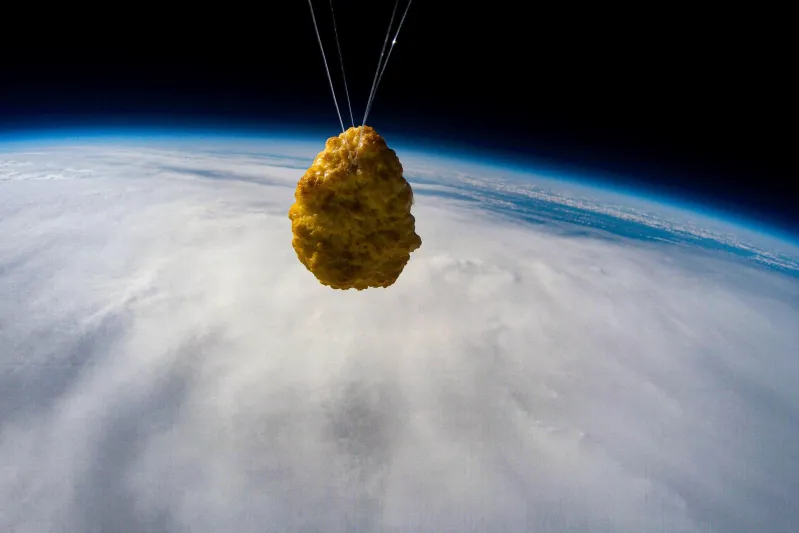 لماذا أُرسلت قطعة دجاج لرحلة إلى الفضاء؟ (فيديو)