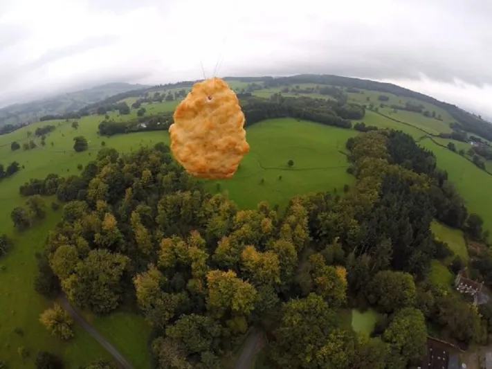 لماذا أُرسلت قطعة دجاج لرحلة إلى الفضاء؟ (فيديو)