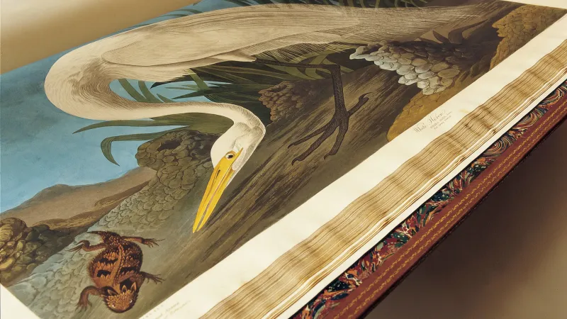 صور| أحدها تجاوزت قيمته 30 مليون دولار .. أغلى كتب العالم 