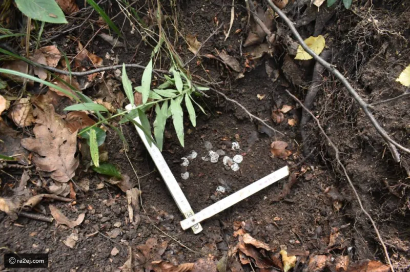 صدفة تقود سائحا لاكتشاف كنز ثمين مخبأ منذ القرون الوسطى