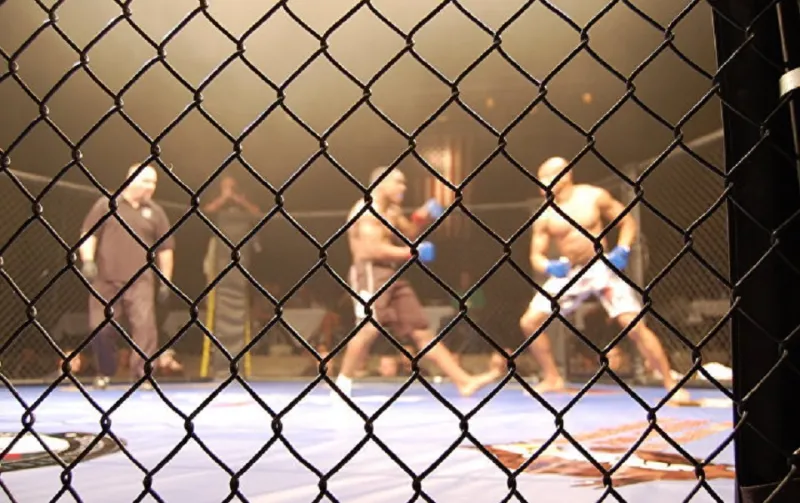 "ركلة كرة القدم" تسرق من مقاتل فرحة الفوز بالبطولة (فيديو)