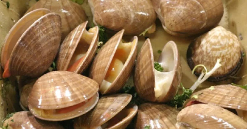 فوائد الزنك وأضراره.. وما الجرعات الموصى بها عند تناوله؟