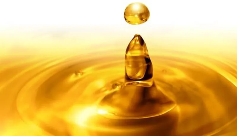 فوائد زيت الأرغان للشعر.. يخفي التجاعيد ويعالج الهشاشة